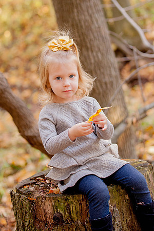 bhostphoto_317