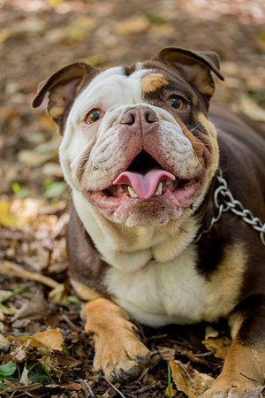 bhostphoto_054