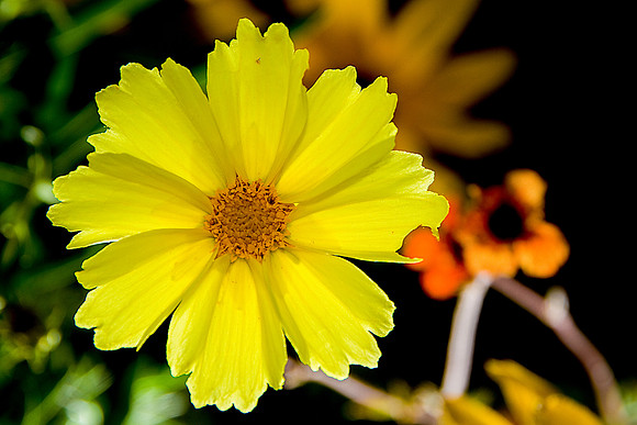 bhostphoto_128