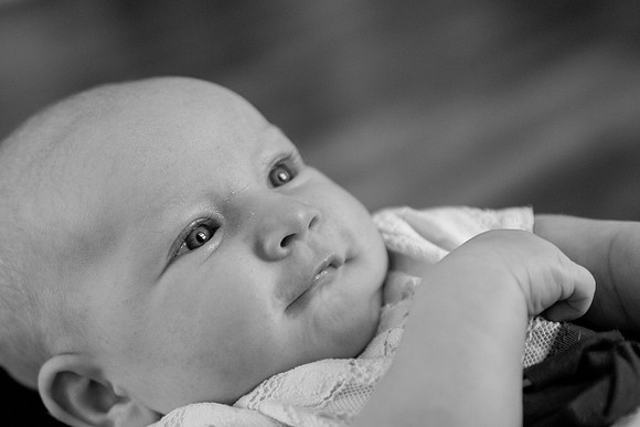 bhostphoto_850_bw