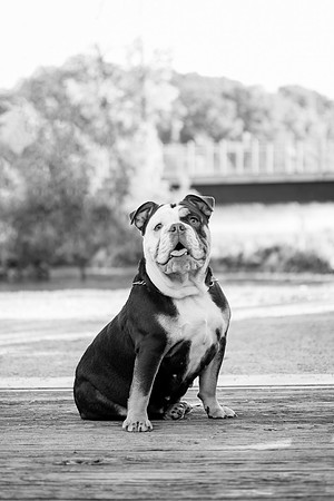 bhostphoto_187_bw