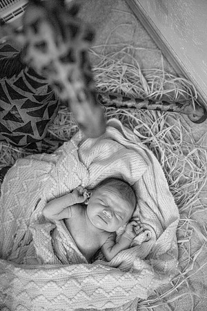 bhostphoto_030_BW
