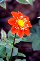 bhostphoto_020