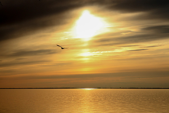 bhostphoto_004