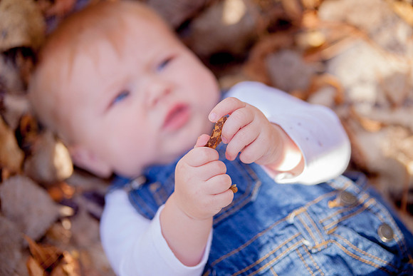 bhostphoto_043