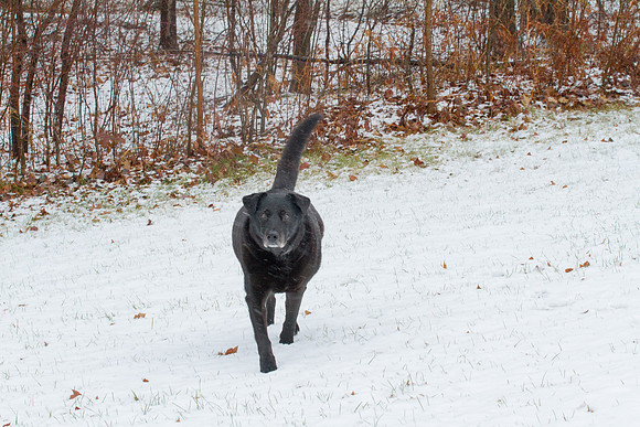 bhostphoto_004