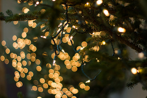 bhostphoto_0144