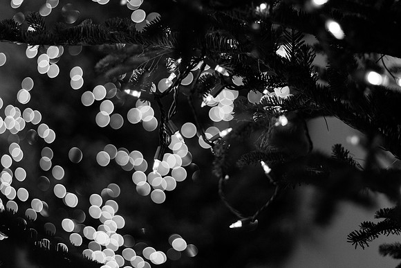 bhostphoto_0141_bw