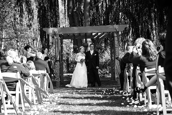 ccSolon_253_bw
