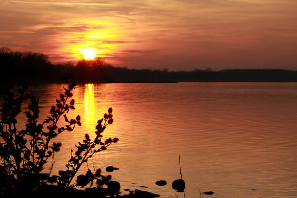 bhostphoto_008