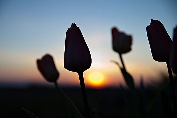 bhostphoto_084