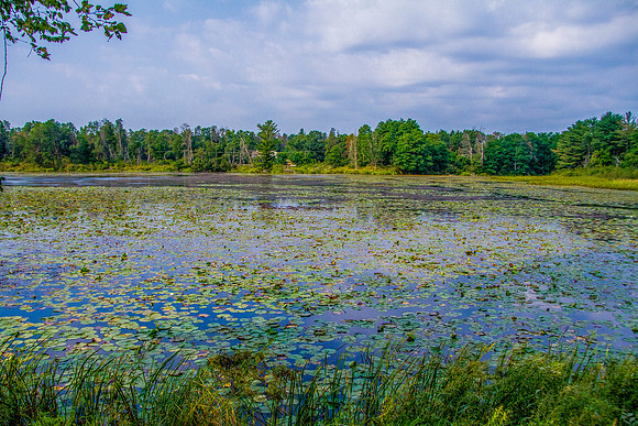 bhostphoto_051