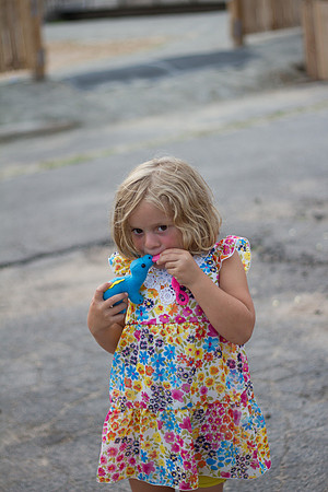 bhostphoto_025