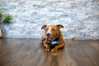 bhostphoto_001