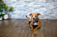 bhostphoto_003