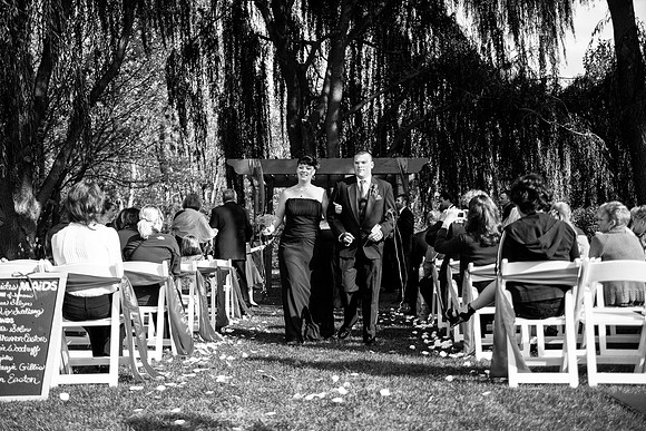 ccSolon_274_bw