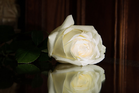bhostphoto_146