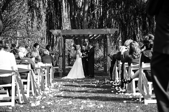 ccSolon_239_bw