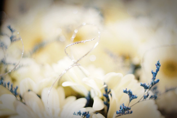 amy_andy_0089_bl