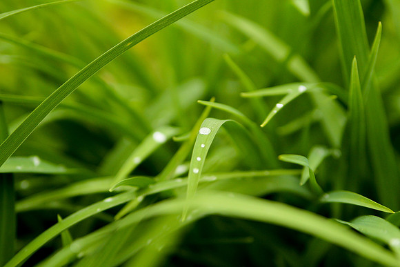 bhostphoto_083