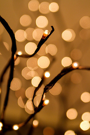 bhostphoto_067