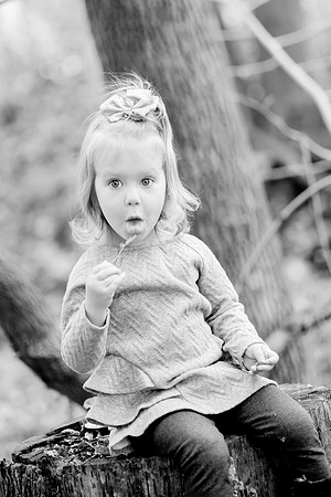 bhostphoto_323_bw