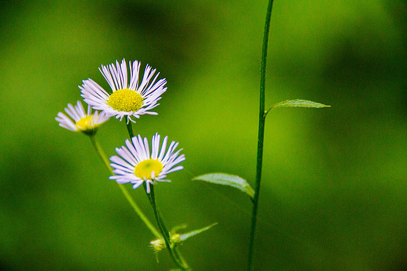 bhostphoto_041