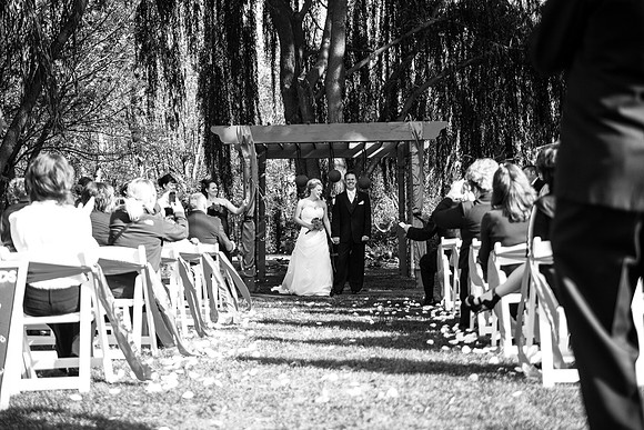ccSolon_260_bw