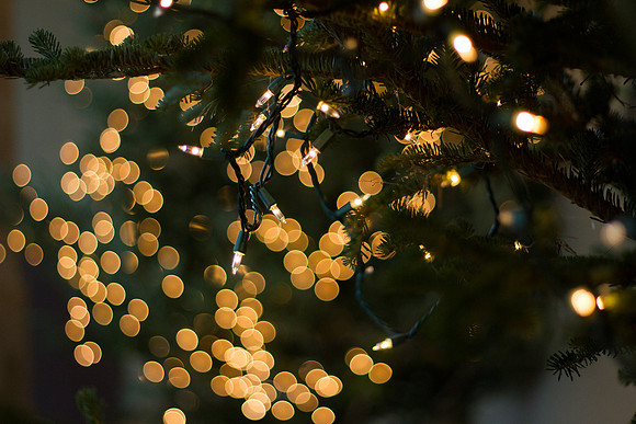 bhostphoto_0143