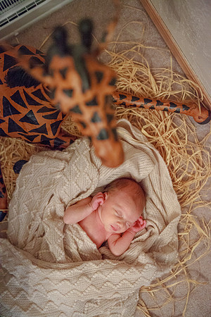 bhostphoto_031