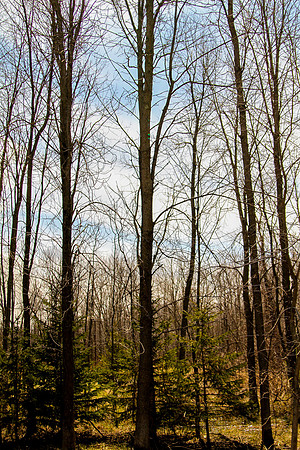 bhostphoto_097