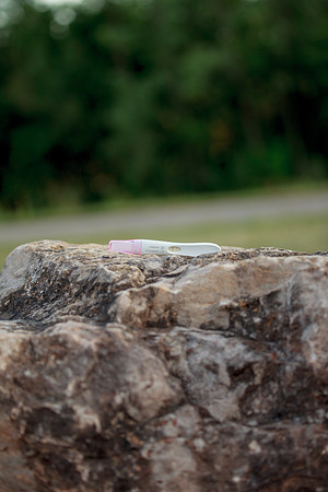 bhostphoto_115