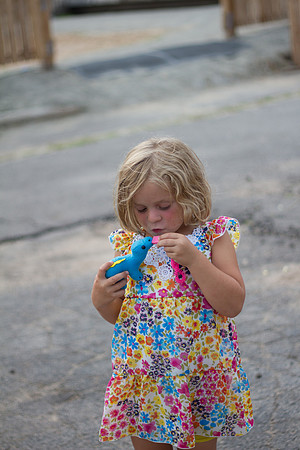 bhostphoto_024