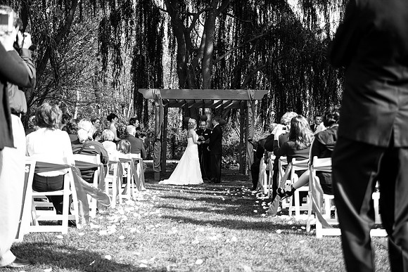 ccSolon_238_bw