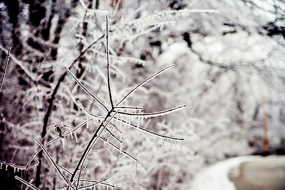 bhostphoto_090