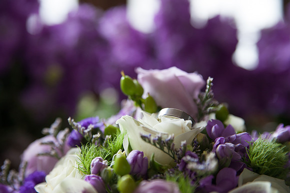 bhostphoto_062