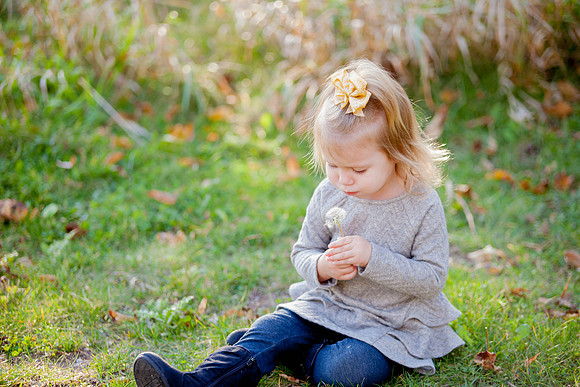 bhostphoto_330