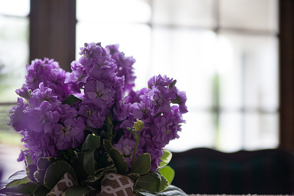 bhostphoto_056