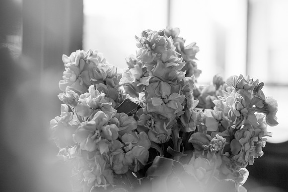 bhostphoto_058_BW