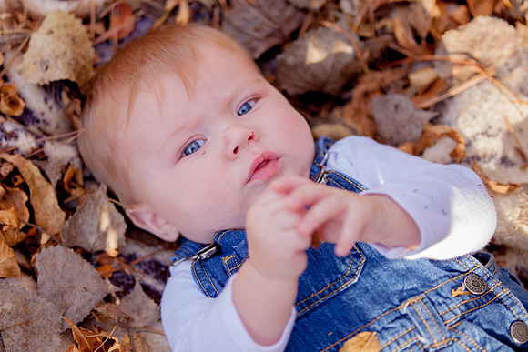 bhostphoto_045