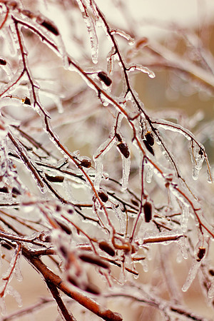 bhostphoto_072