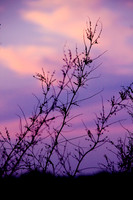 bhostphoto_010