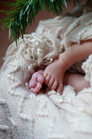 bhostphoto_014