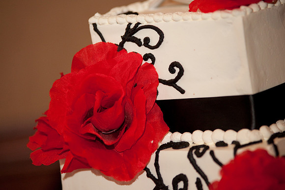 ccSolon_028