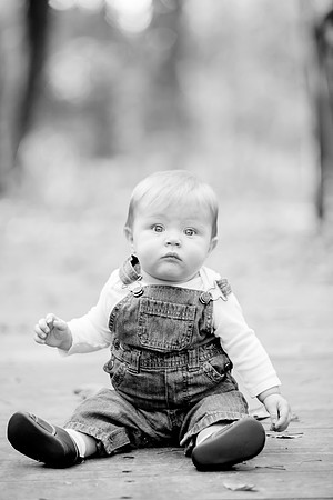 bhostphoto_153_bw
