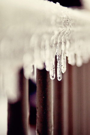 bhostphoto_087