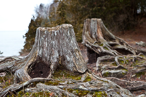 bhostphoto_148