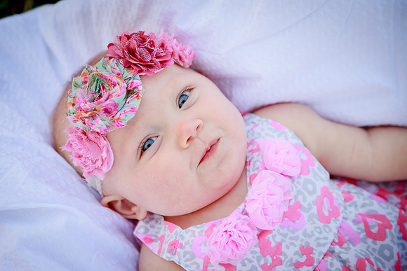 bhostphoto_062