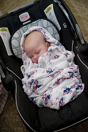 bhostphoto_004