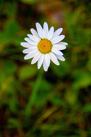 bhostphoto_048